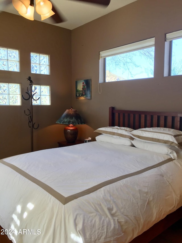 bedroom featuring ceiling fan and multiple windows