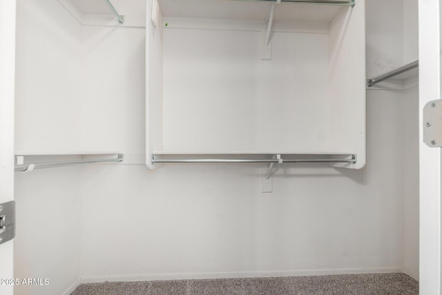 15588 W Devonshire Ave, Goodyear, AZ 85395 - walk in closet featuring carpet floors