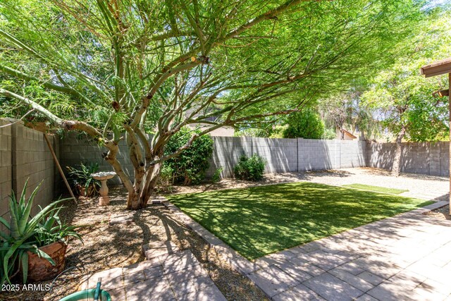 15588 W Devonshire Ave, Goodyear, AZ 85395 - fenced backyard featuring a patio