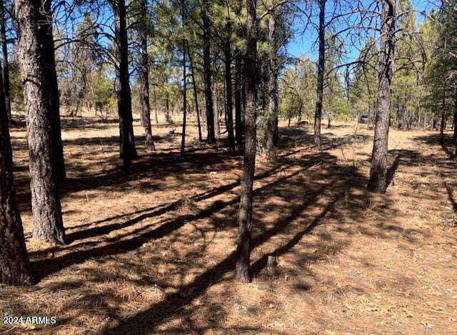 5236 Taos Cir Unit 152, Happy Jack AZ, 86024 land for sale