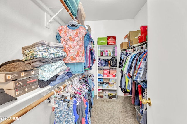 walk in closet featuring carpet floors