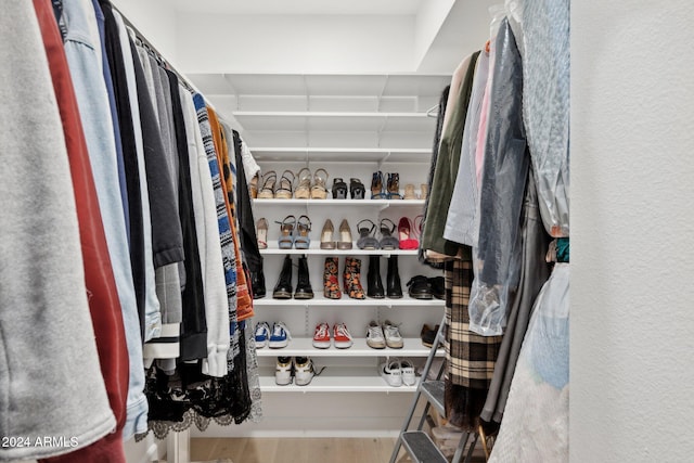 spacious closet with wood-type flooring