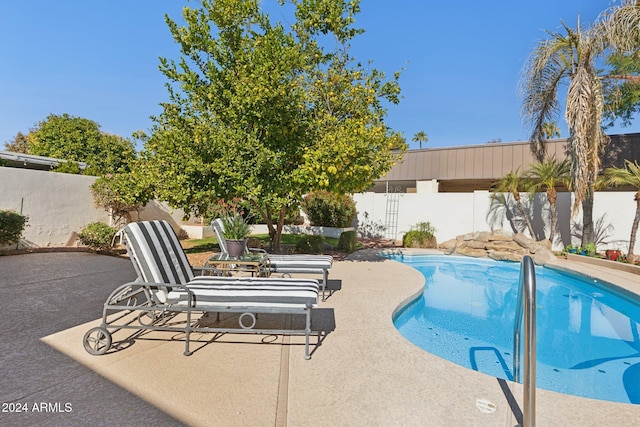 view of pool with a patio