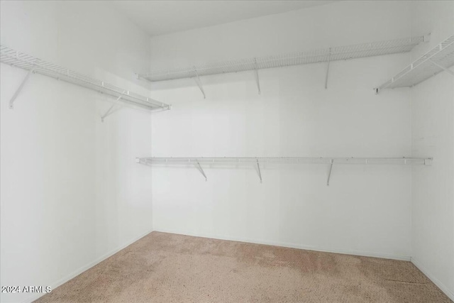 spacious closet with carpet