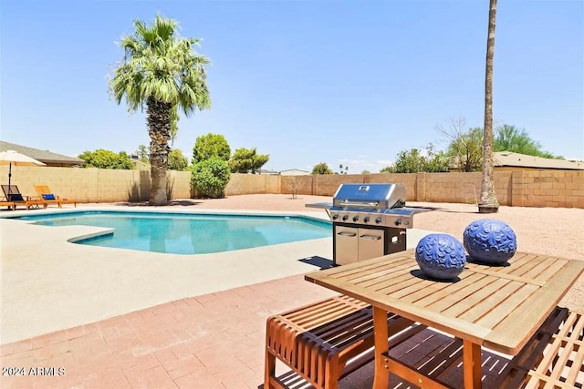 view of pool featuring a patio and area for grilling