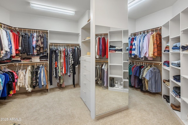 6001 E Restin Rd, Cave Creek, AZ 85331 - walk in closet with carpet flooring