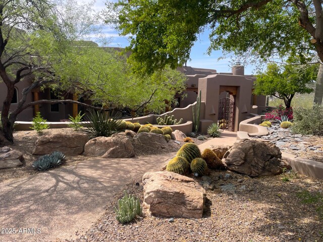 6001 E Restin Rd, Cave Creek, AZ 85331 - view of yard