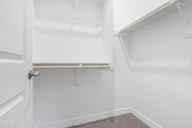 5245 N 205th Ln, Buckeye, AZ 85396 - spacious closet featuring carpet floors
