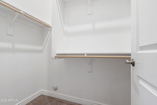 5245 N 205th Ln, Buckeye, AZ 85396 - walk in closet with carpet flooring