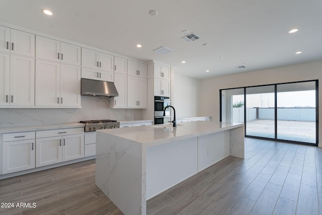 kitchen with white cabinetry, sink, light stone countertops, a kitchen island with sink, and light wood-type flooring