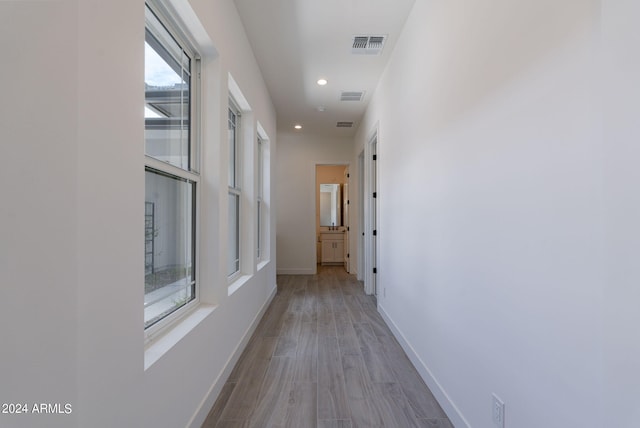 hall featuring light hardwood / wood-style flooring and a healthy amount of sunlight