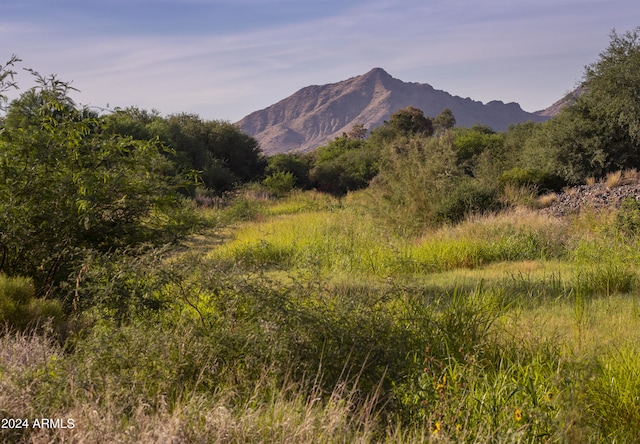 view of mountain feature