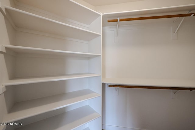 view of walk in closet