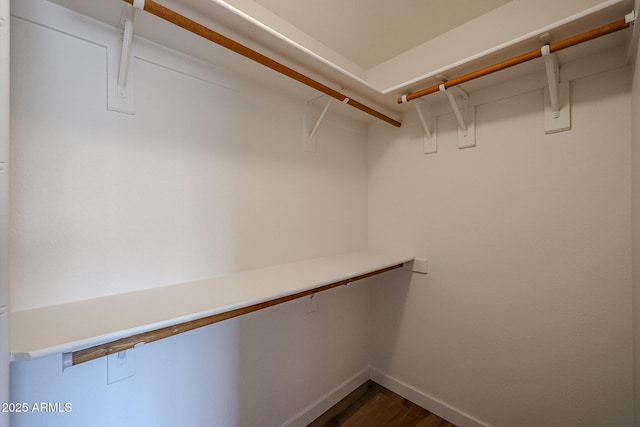spacious closet with dark wood-type flooring