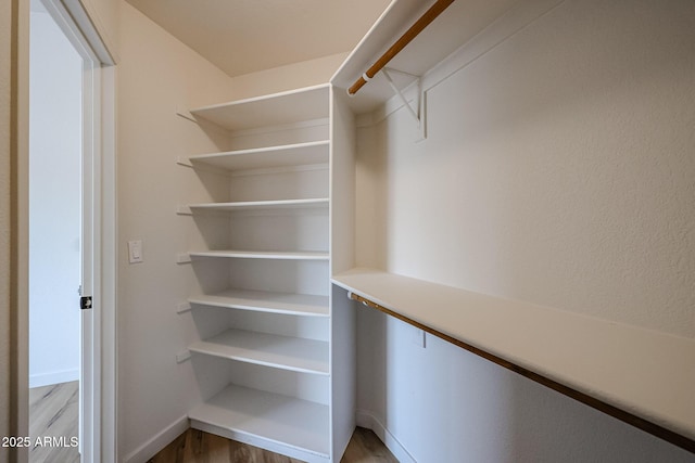 spacious closet featuring wood-type flooring