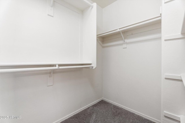 10417 W Alyssa Ln, Peoria, AZ 85383 - spacious closet featuring carpet