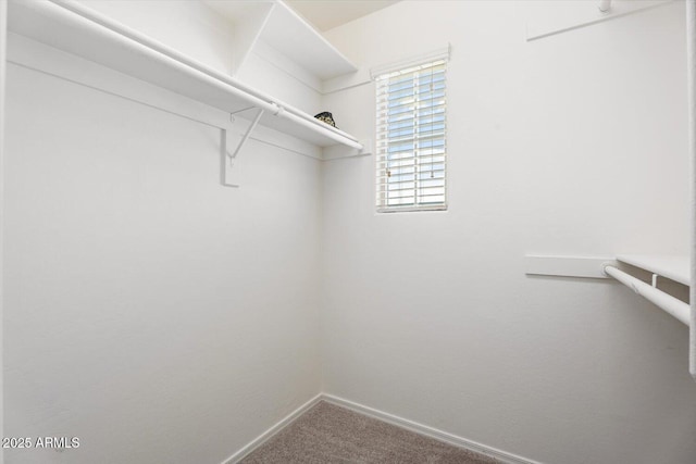 10417 W Alyssa Ln, Peoria, AZ 85383 - spacious closet with carpet floors