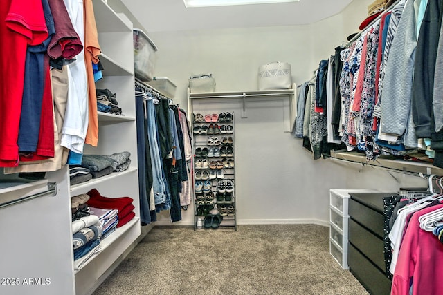 spacious closet with carpet flooring