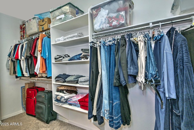 spacious closet featuring carpet floors