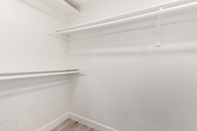 spacious closet featuring light wood-style flooring