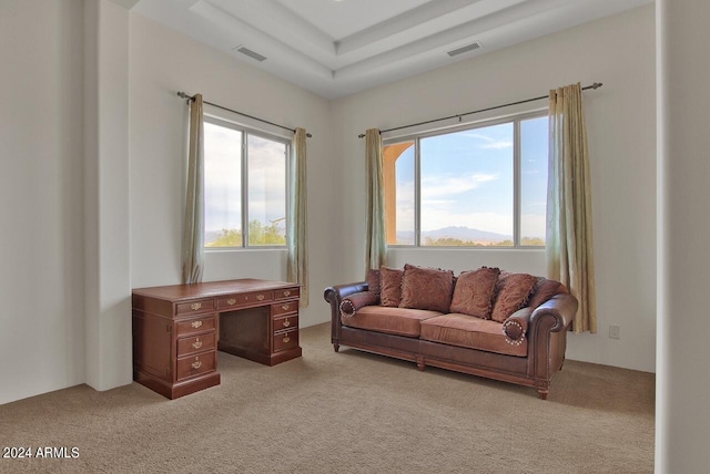 living room with light colored carpet and a raised ceiling