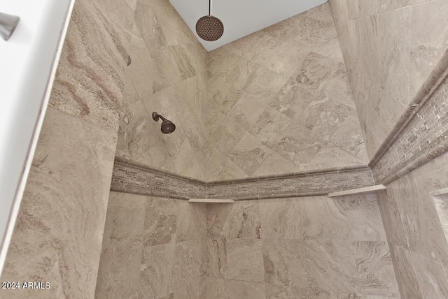 interior details with tiled shower