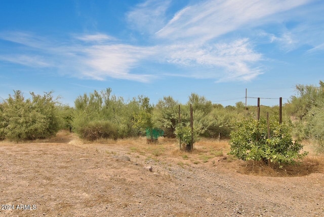 view of local wilderness with a rural view