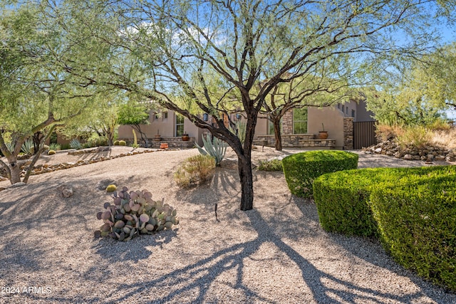 view of yard with a patio area