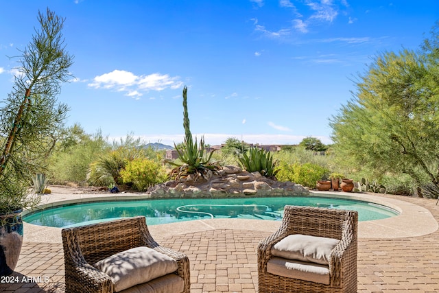 view of swimming pool with a patio area