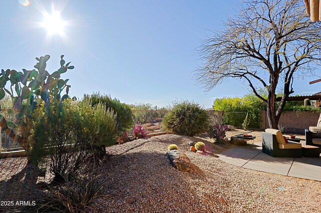 view of yard featuring a fenced backyard and a patio