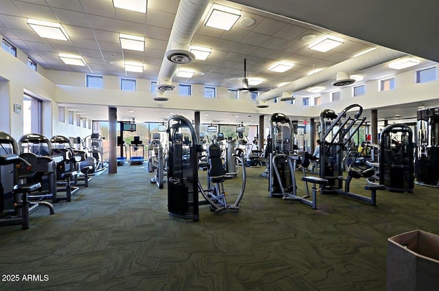 exercise room featuring carpet, a towering ceiling, and a paneled ceiling