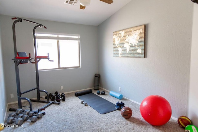 1894 E Sagebrush St, Gilbert, AZ 85296 - workout area featuring carpet floors, a ceiling fan, and baseboards