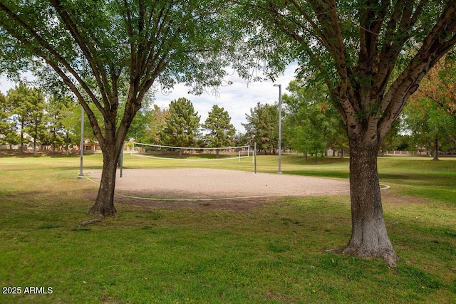 1894 E Sagebrush St, Gilbert, AZ 85296 - view of community with volleyball court and a yard