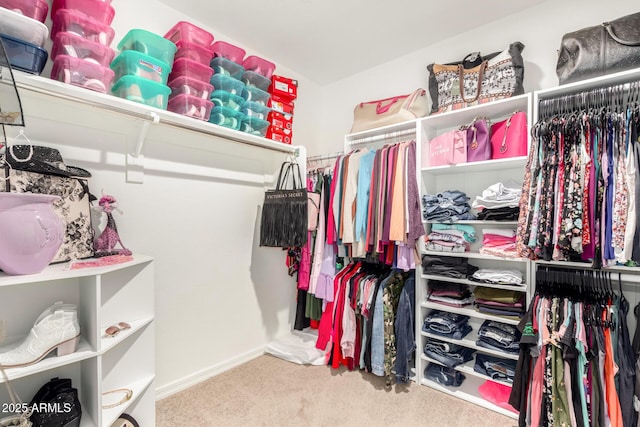 spacious closet featuring carpet flooring