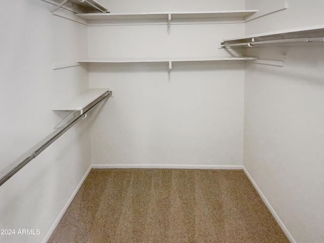 walk in closet with carpet floors