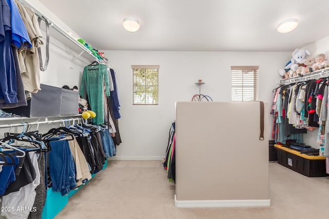 spacious closet featuring carpet flooring