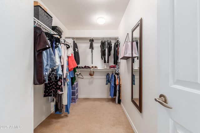 walk in closet featuring carpet flooring