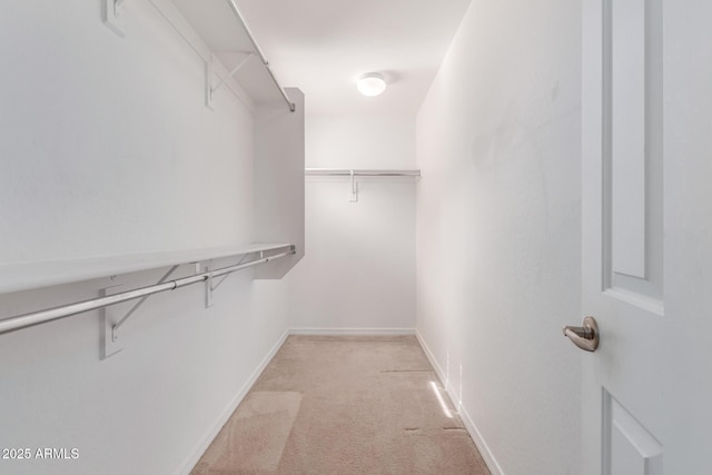 walk in closet with light colored carpet