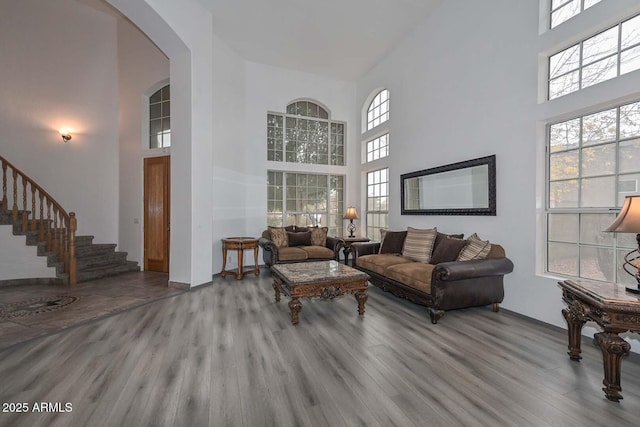 living room with hardwood / wood-style floors and a high ceiling