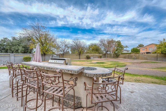 view of patio / terrace with area for grilling, exterior bar, and an outdoor kitchen