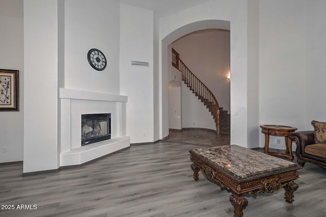 living room featuring a fireplace and wood-type flooring