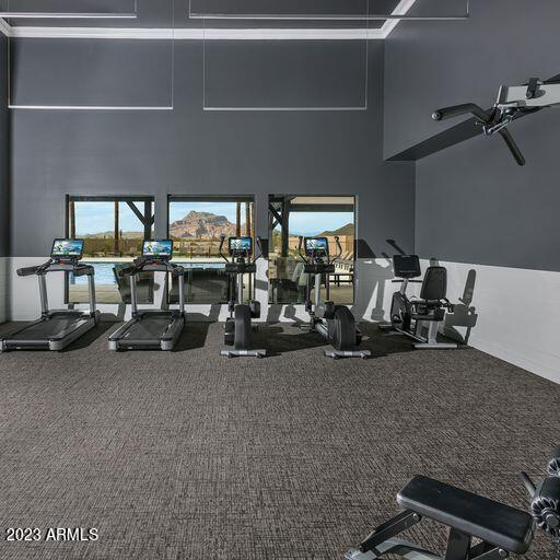 exercise room featuring carpet floors and a towering ceiling