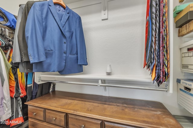 view of spacious closet