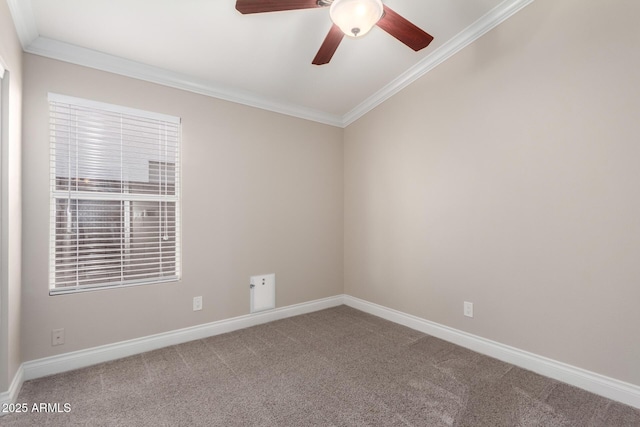 carpeted spare room with ceiling fan, ornamental molding, and baseboards