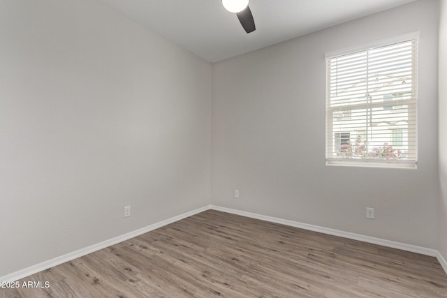 empty room with ceiling fan and wood-type flooring