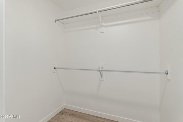 walk in closet with light wood finished floors