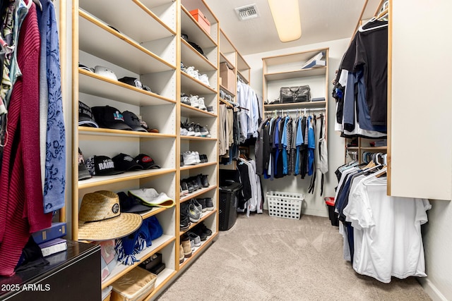4041 N Silver Ridge Cir, Mesa, AZ 85207 - walk in closet featuring carpet flooring