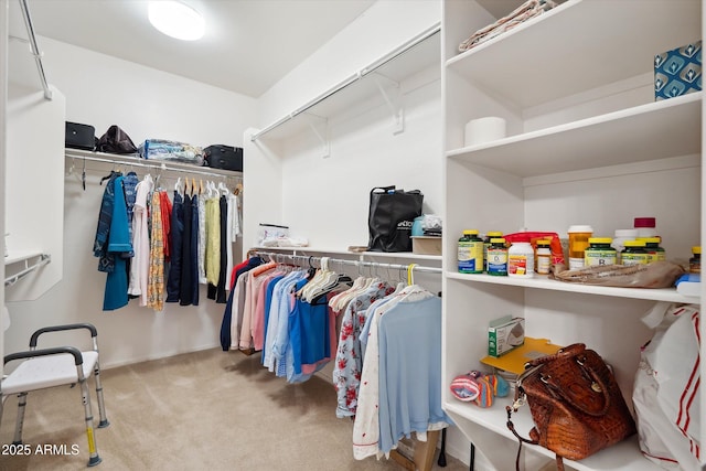 spacious closet featuring carpet flooring