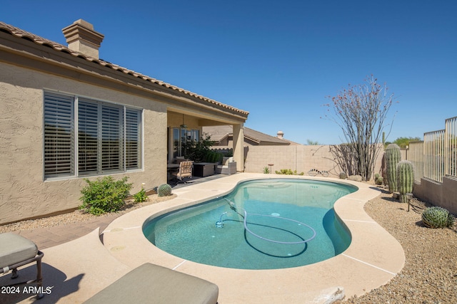 view of pool featuring a patio