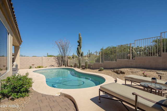 view of pool with a patio area